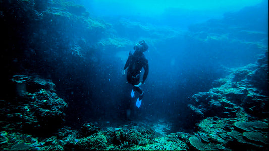 Adventure Freediving