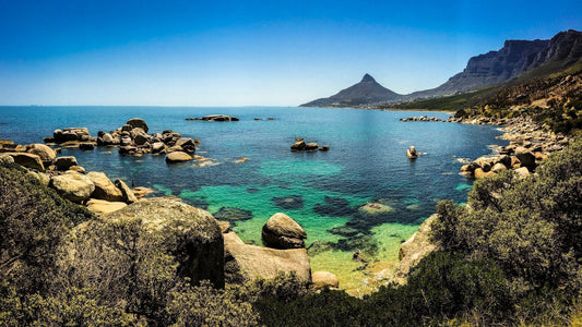 Viz Reports - Cape Town Peninsula